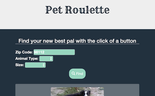 Pet Roulette Web App Screen Shot